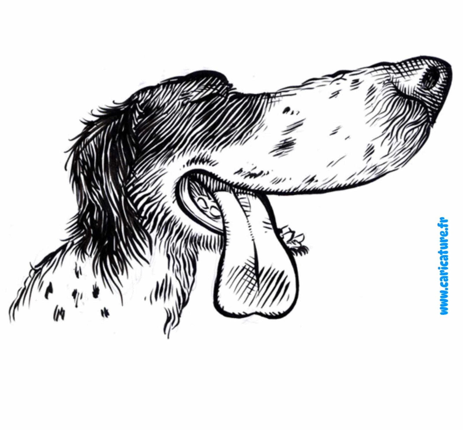 Lustige Hundekarikatur