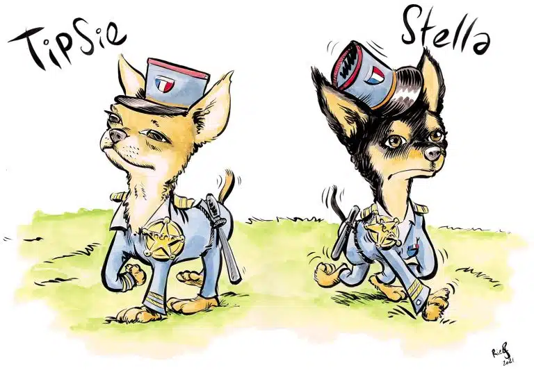 Caricature of dogs for a pet beauty pageant