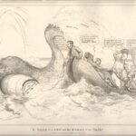 Die Geschichte von der Tonne