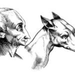 Mann und Hund. De humana physiognomonia, Giambattista della Porta.